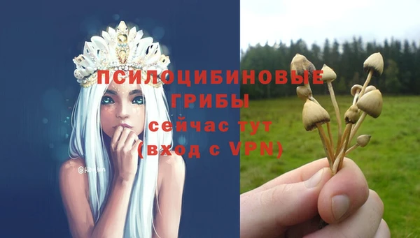 амф Алексин