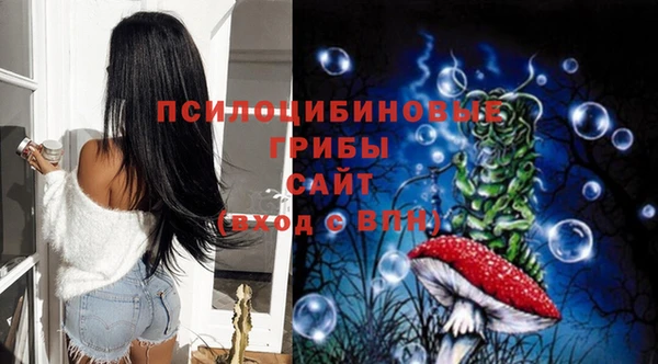 твердый Алзамай