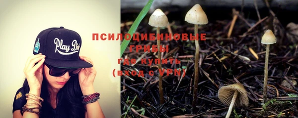 амф Алексин