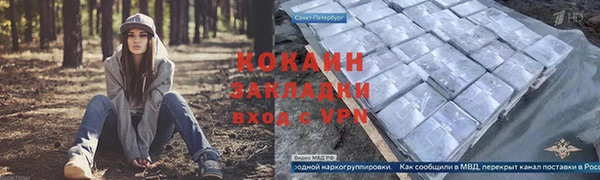 амф Алексин