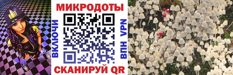 где купить наркоту  Калтан  Галлюциногенные грибы Cubensis 